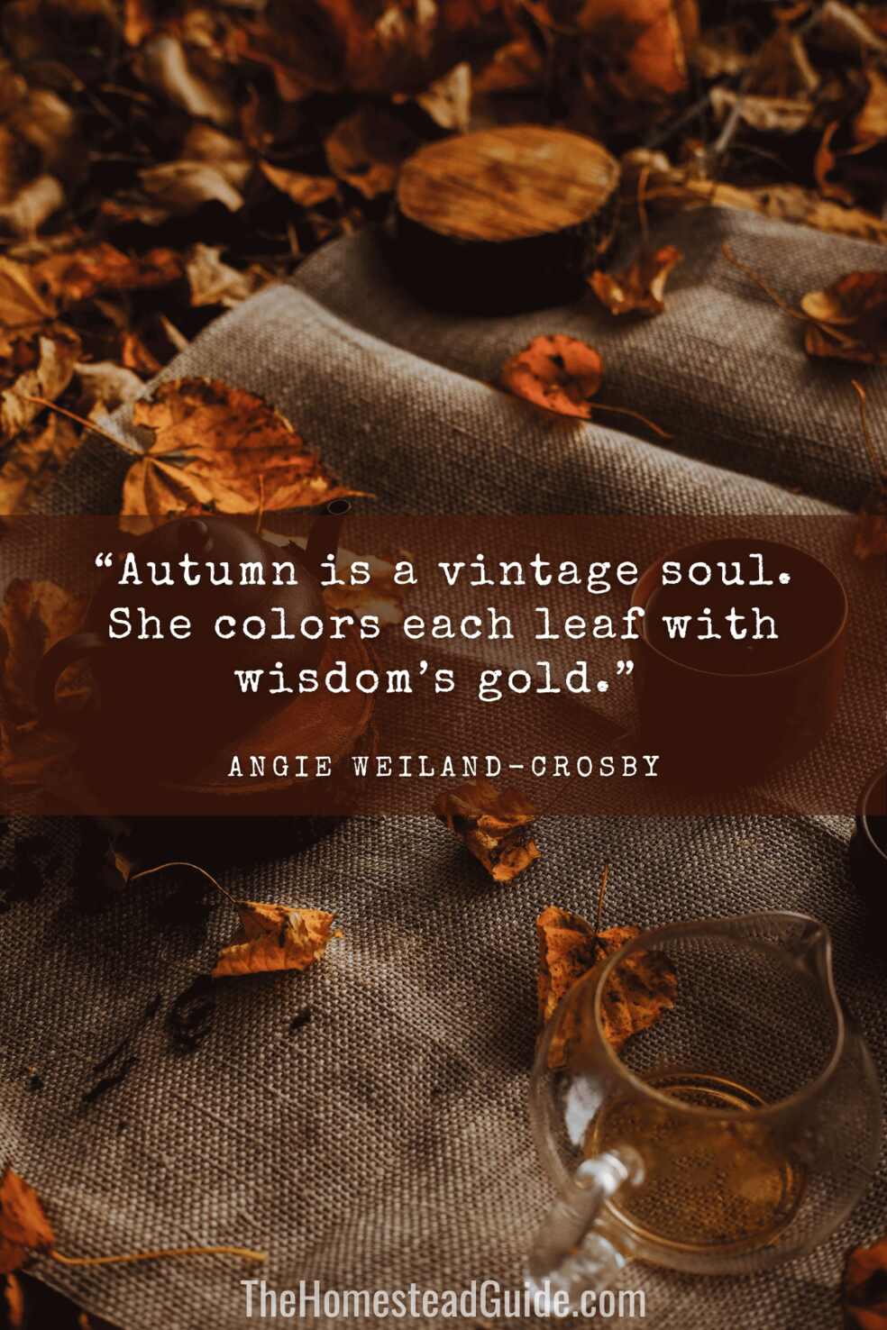 Autumn is a vintage soul. She colors each leaf with wisdoms gold.