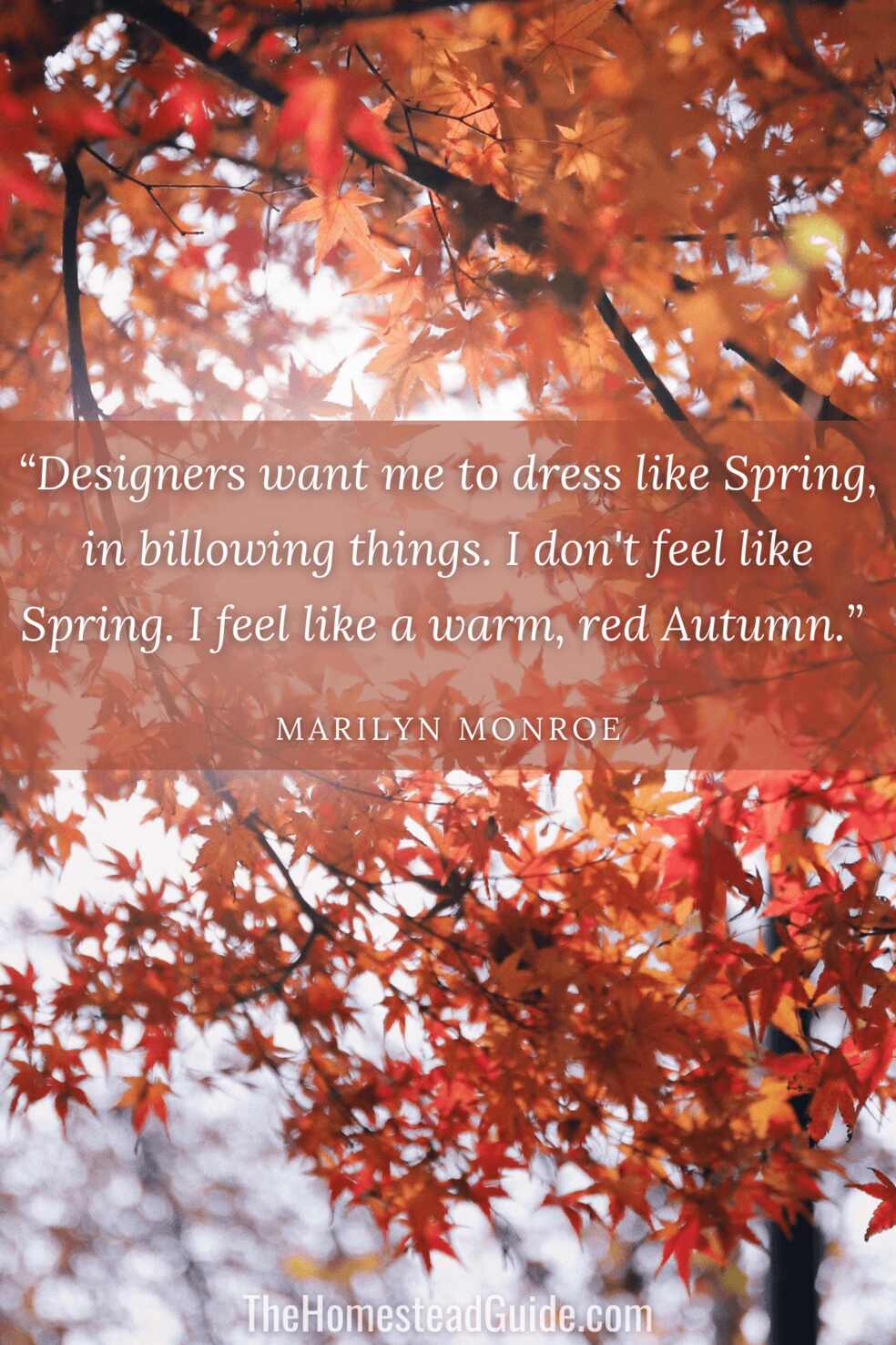 Designers want me to dress like Spring, in billowing things. I don't feel like Spring. I feel like a warm red Autumn.
