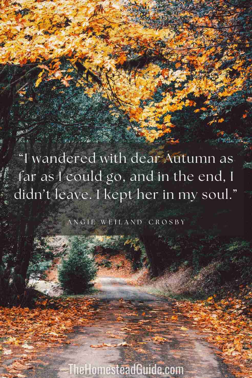 I wandered with dear Autumn as far as I could go, and in the end, I didnt leave. I kept her in my soul.