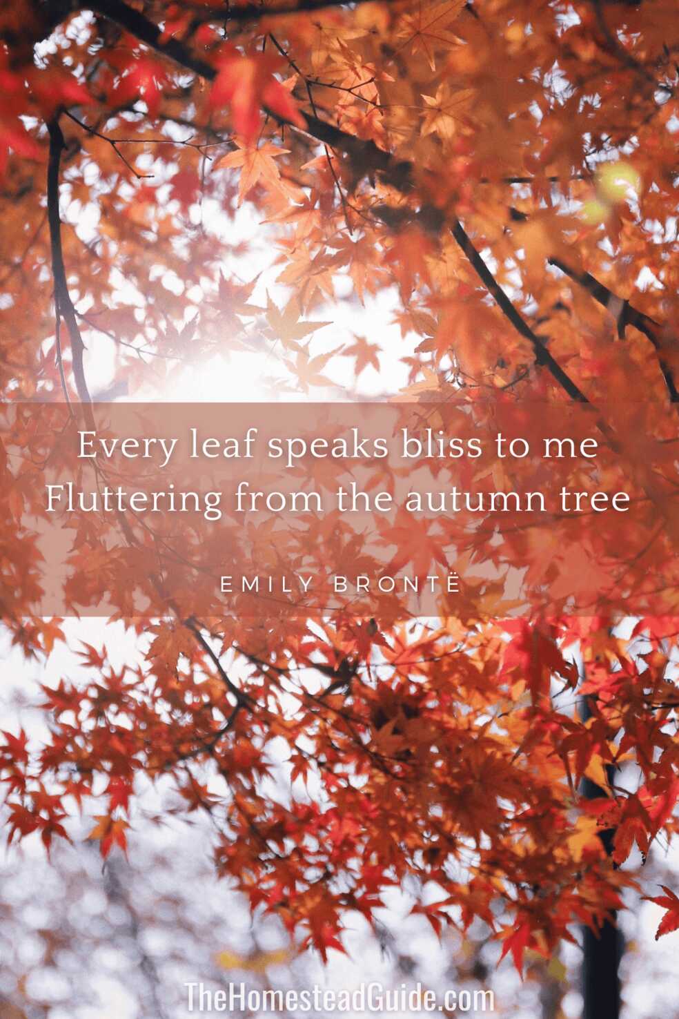 Every leaf speaks bliss to me Fluttering from the autumn tree.