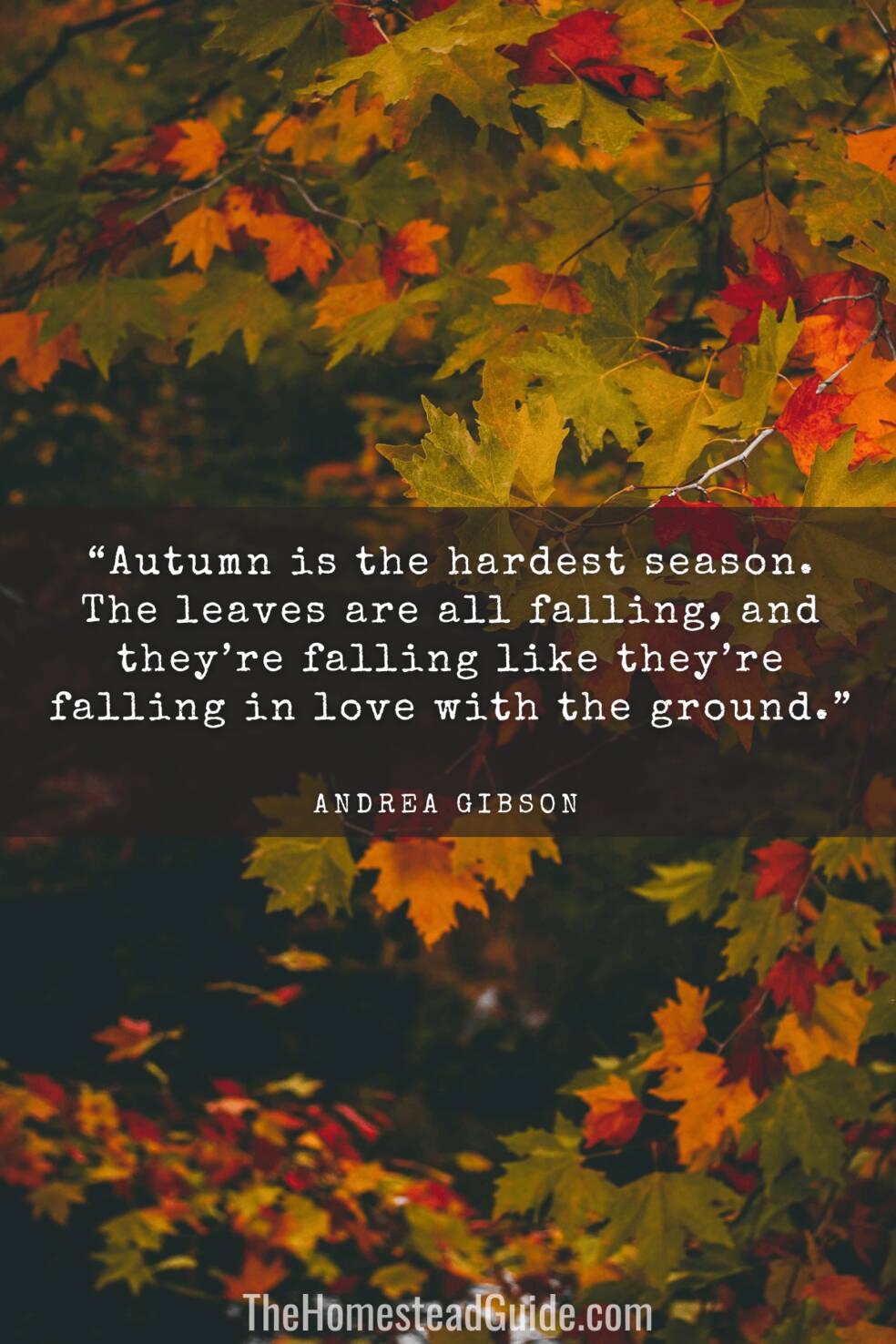 Autumn is the hardest season. The leaves are all falling, and theyre falling like theyre falling in love with the ground.