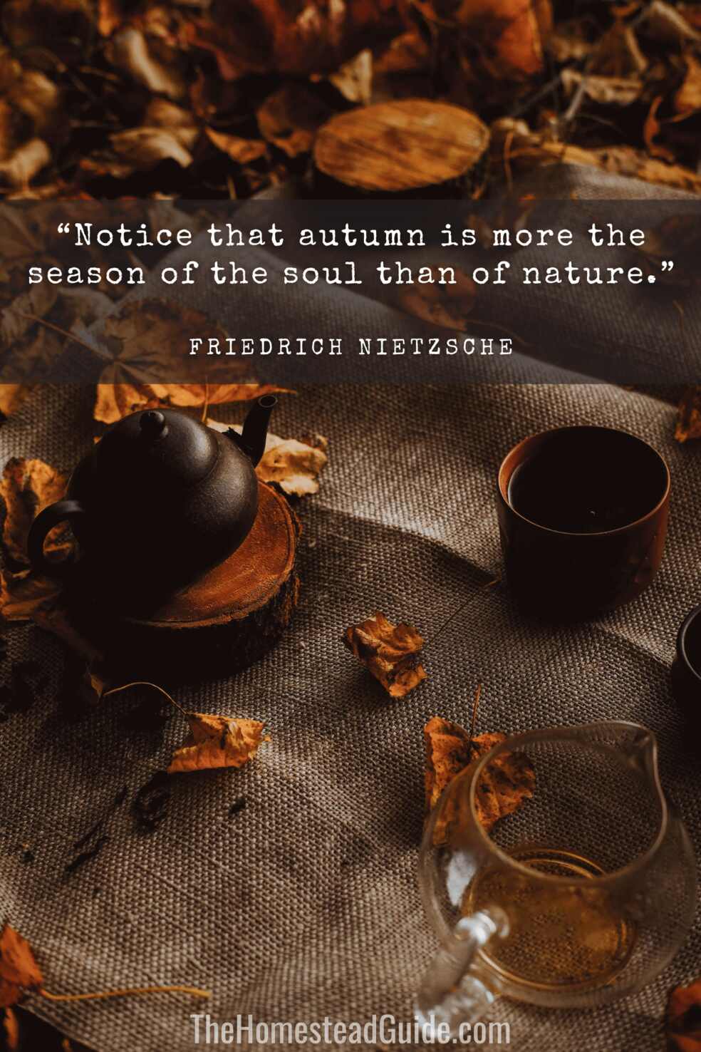 Notice that autumn is more the season of the soul than of nature.