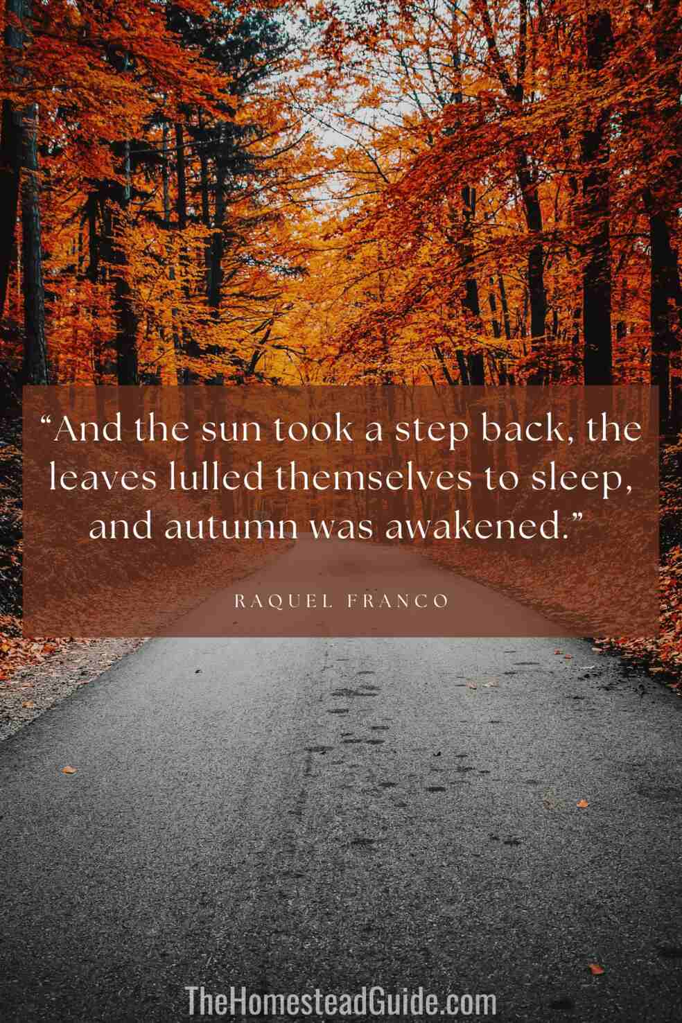 And the sun took a step back, the leaves lulled themselves to sleep, and autumn was awakened.