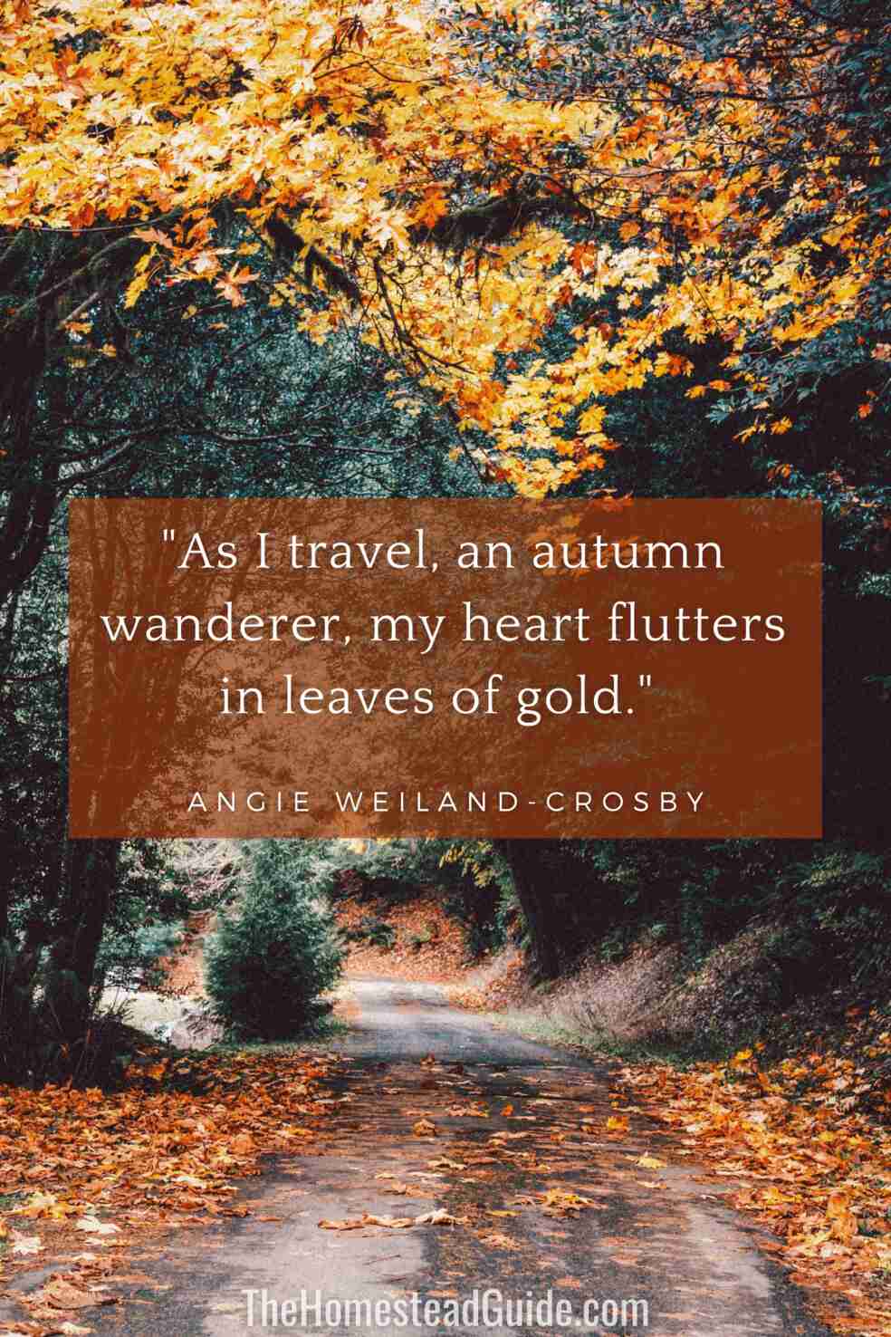 As I travel, an autumn wanderer, my heart flutters in leaves of gold.