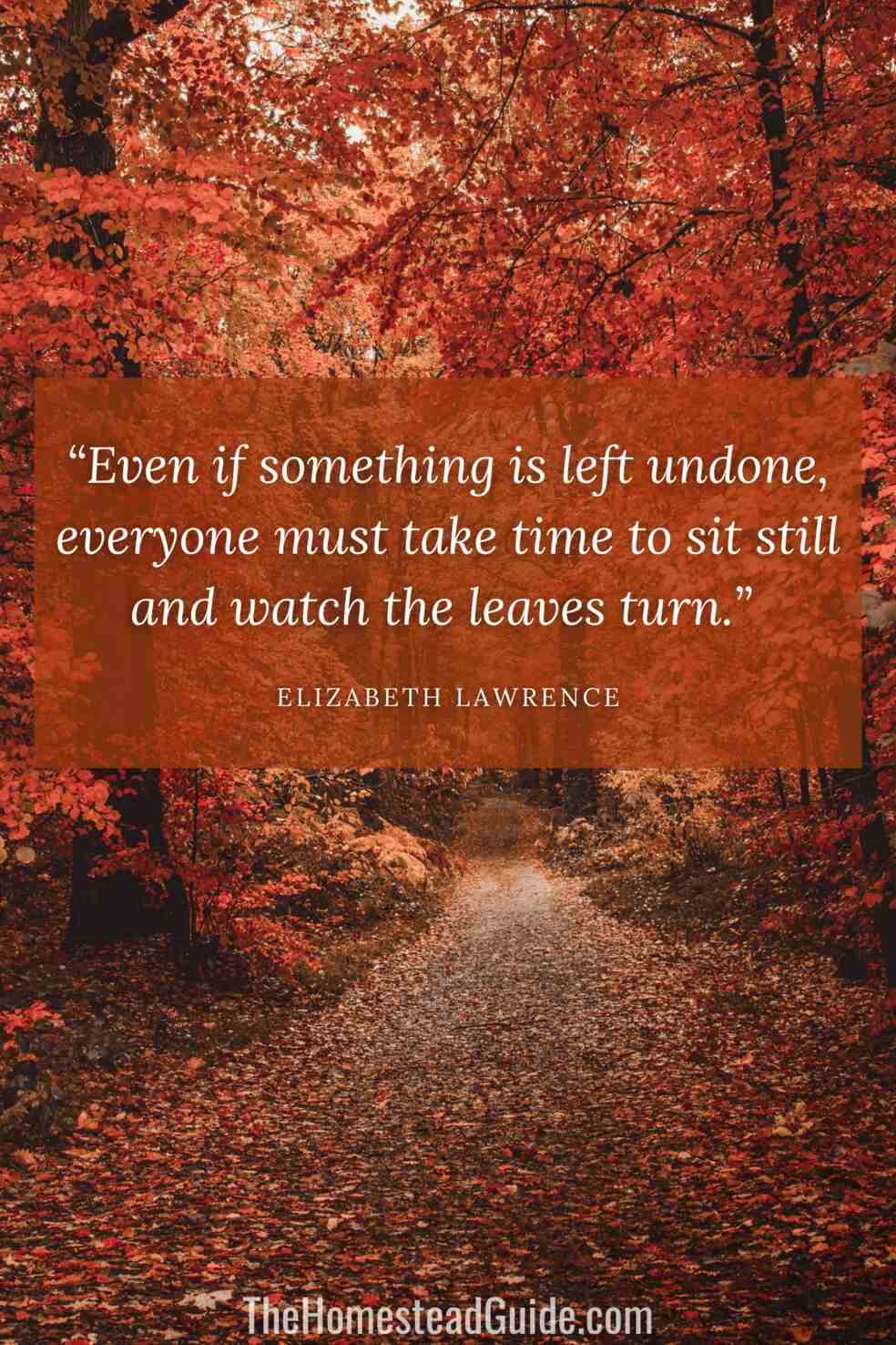 Even if something is left undone, everyone must take time to sit still and watch the leaves turn.