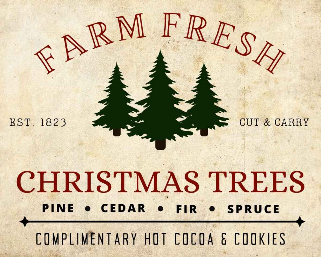 Farm Fresh Christmas Trees Design 2 - Vintage Background