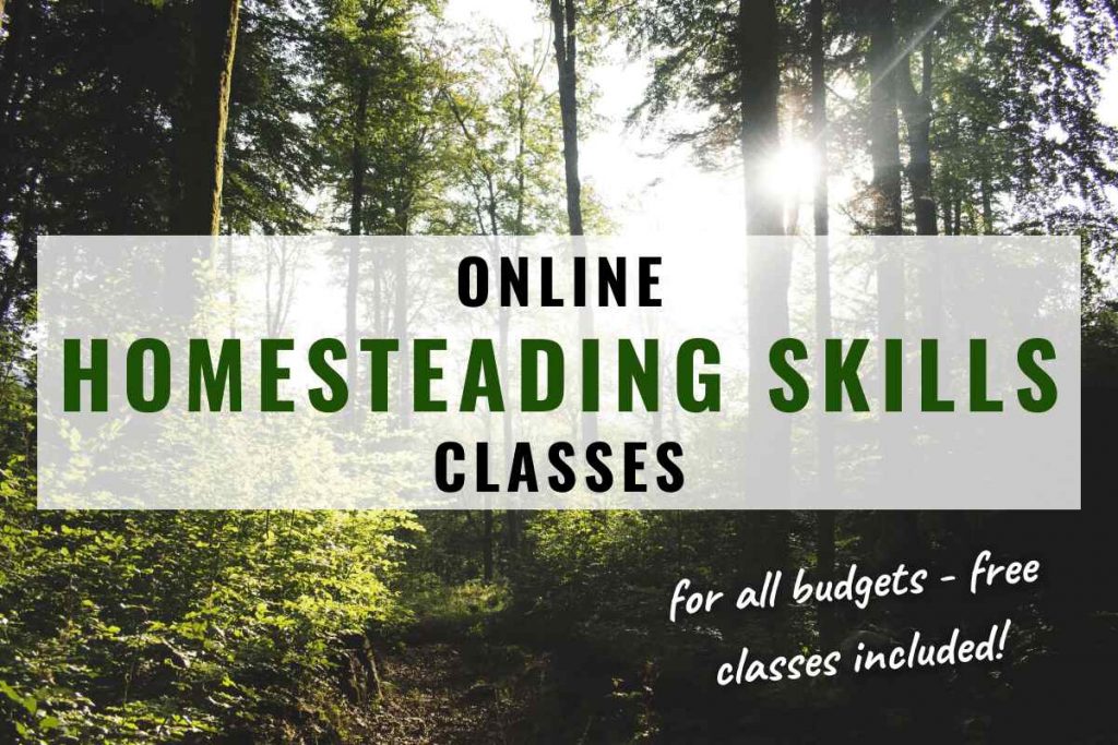 Online Homesteading Skills Classes for Every Budget