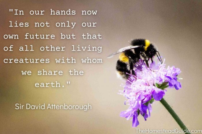 quote. In our hands now lies not only our own future but that of all other living creatures with whom we share the earth. Sir David Attenborough.